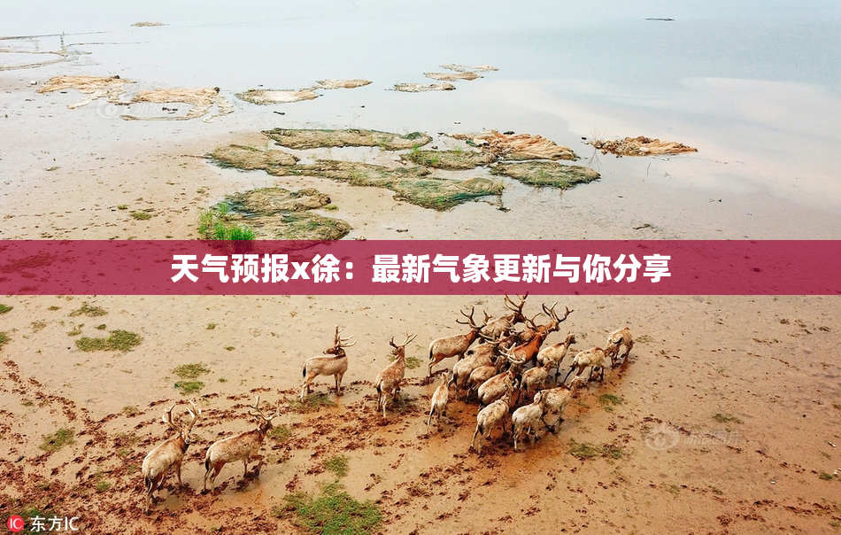 天气预报x徐：最新气象更新与你分享