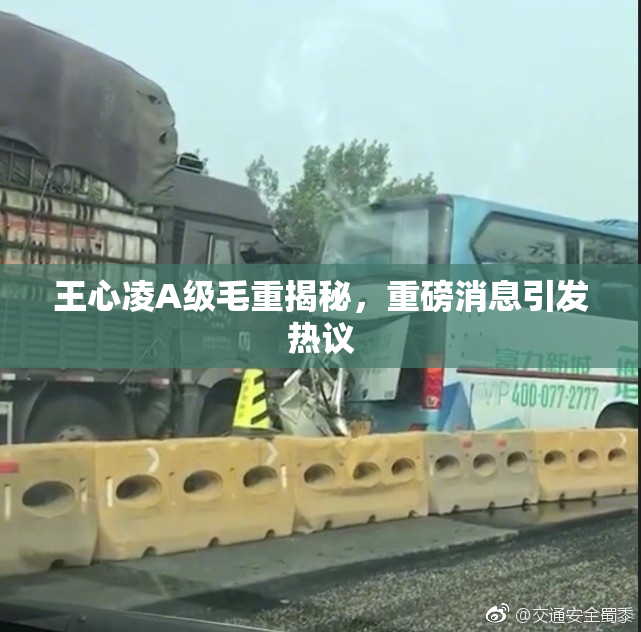 王心凌A级毛重揭秘，重磅消息引发热议