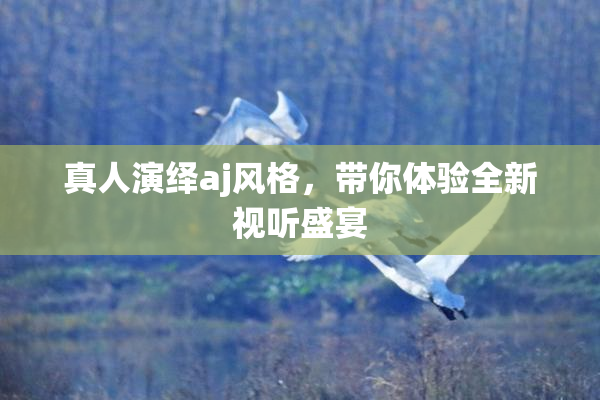 真人演绎aj风格，带你体验全新视听盛宴