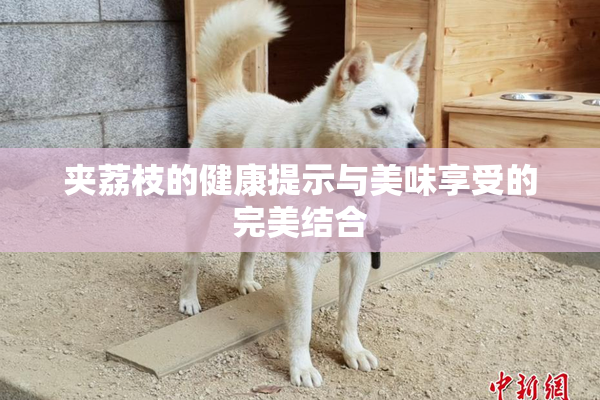 夹荔枝的健康提示与美味享受的完美结合