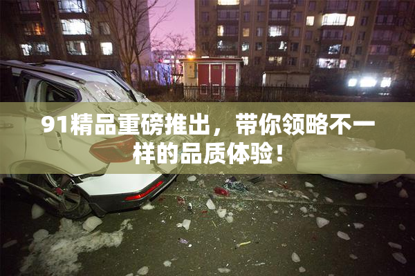 91精品重磅推出，带你领略不一样的品质体验！