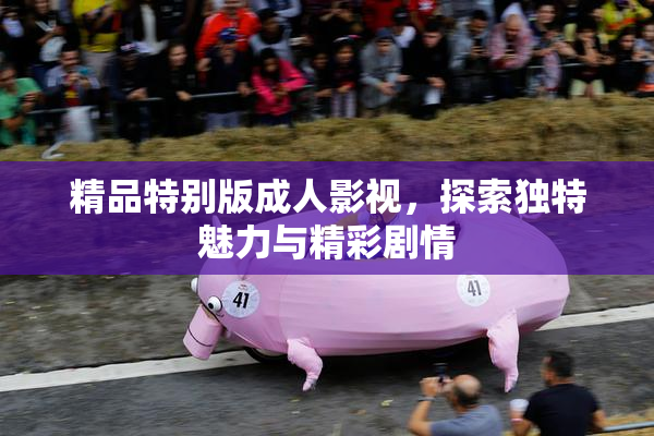 精品特别版成人影视，探索独特魅力与精彩剧情