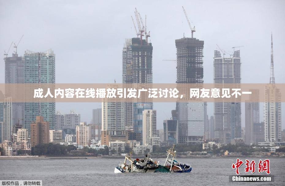 成人内容在线播放引发广泛讨论，网友意见不一