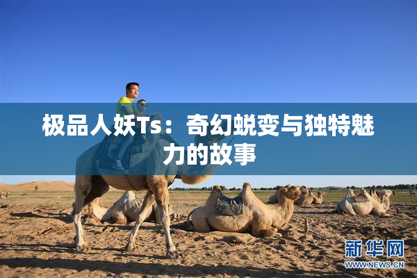 极品人妖Ts：奇幻蜕变与独特魅力的故事