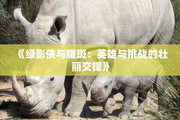 《绿影侠与耀斑：英雄与挑战的壮丽交锋》