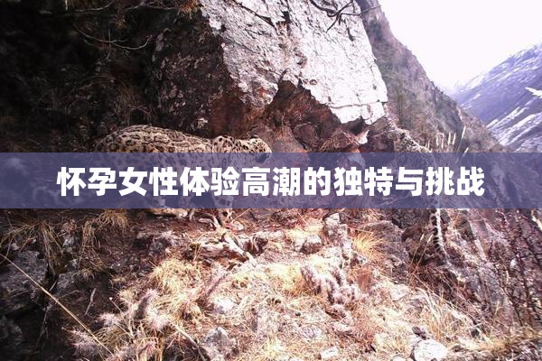 怀孕女性体验高潮的独特与挑战