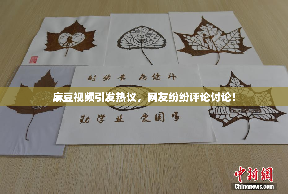 麻豆视频引发热议，网友纷纷评论讨论！