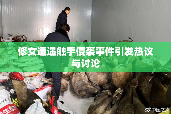 修女遭遇触手侵袭事件引发热议与讨论