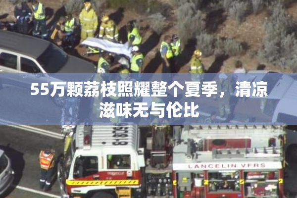 55万颗荔枝照耀整个夏季，清凉滋味无与伦比
