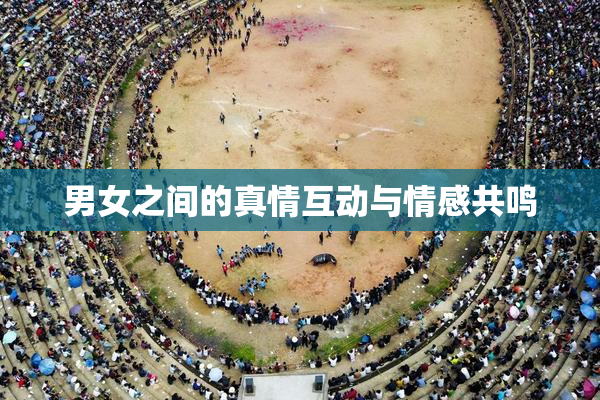 男女之间的真情互动与情感共鸣