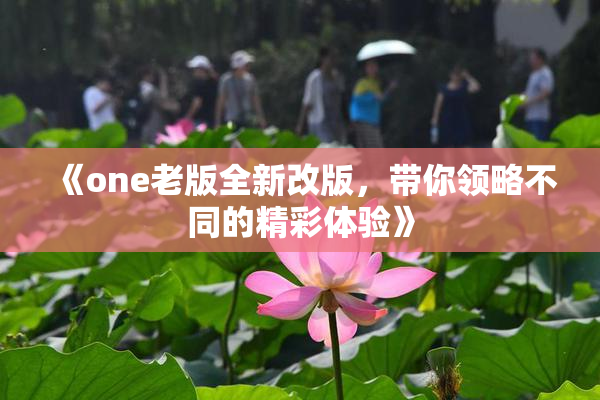 《one老版全新改版，带你领略不同的精彩体验》