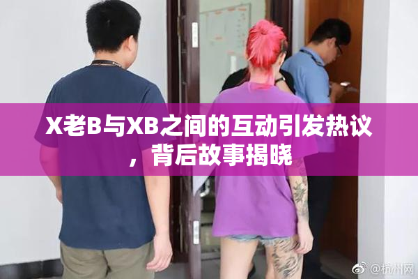 X老B与XB之间的互动引发热议，背后故事揭晓