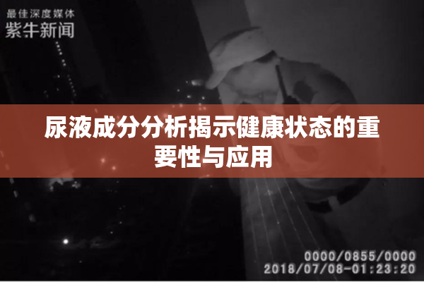 尿液成分分析揭示健康状态的重要性与应用