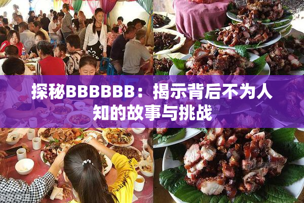 探秘BBBBBB：揭示背后不为人知的故事与挑战