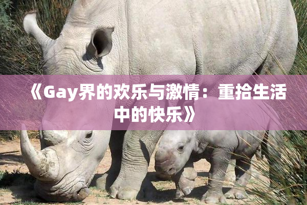 《Gay界的欢乐与激情：重拾生活中的快乐》
