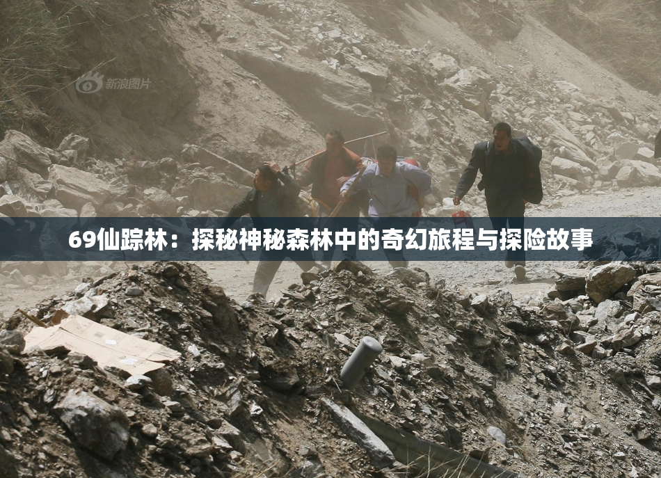 69仙踪林：探秘神秘森林中的奇幻旅程与探险故事