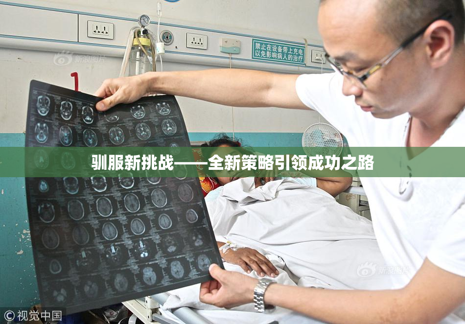 驯服新挑战——全新策略引领成功之路