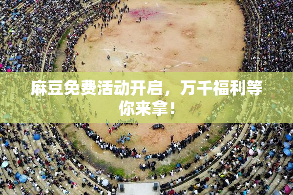麻豆免费活动开启，万千福利等你来拿！