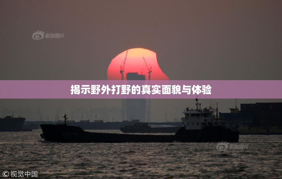 揭示野外打野的真实面貌与体验