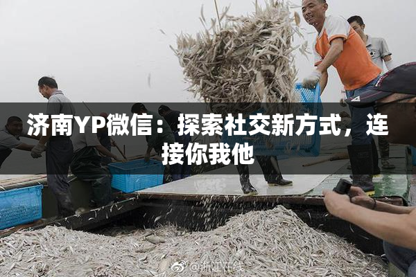 济南YP微信：探索社交新方式，连接你我他
