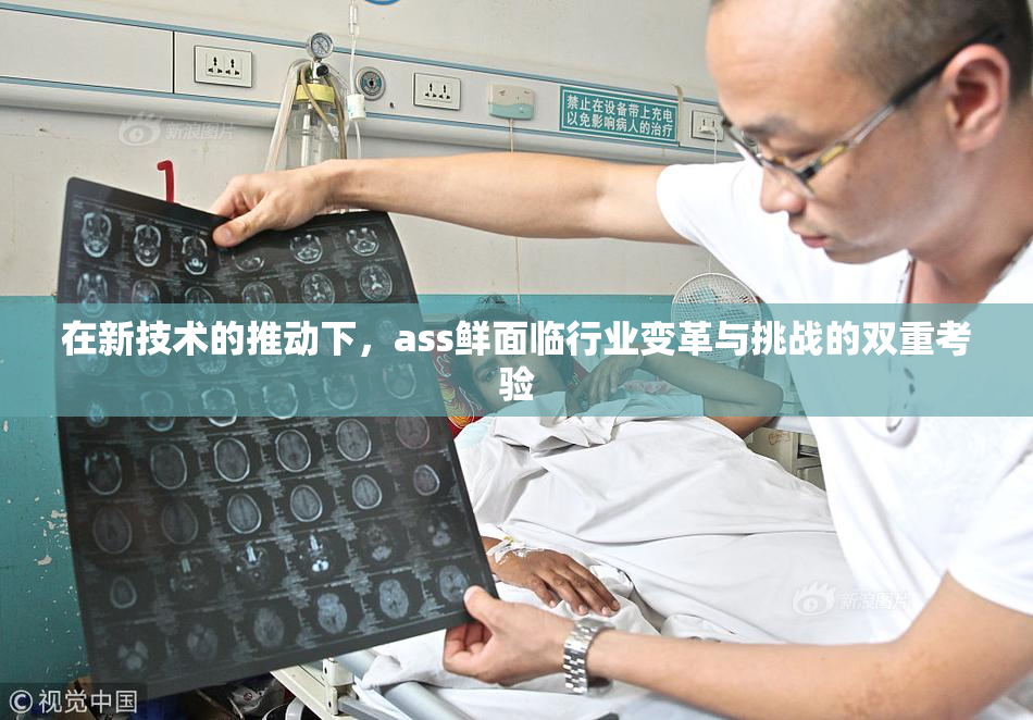 在新技术的推动下，ass鲜面临行业变革与挑战的双重考验