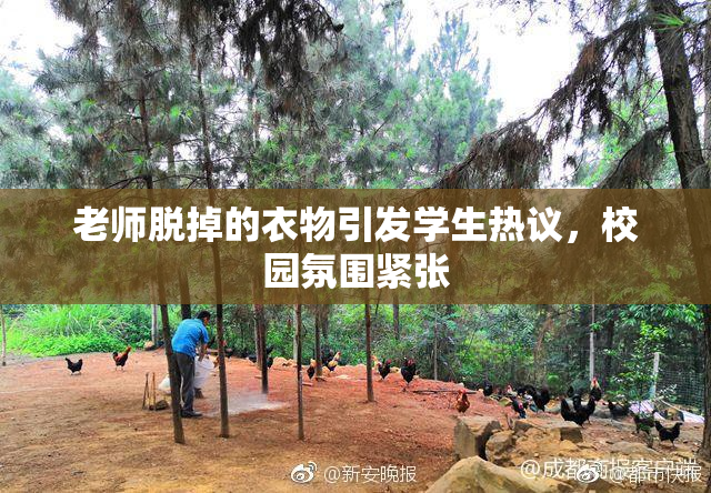 老师脱掉的衣物引发学生热议，校园氛围紧张