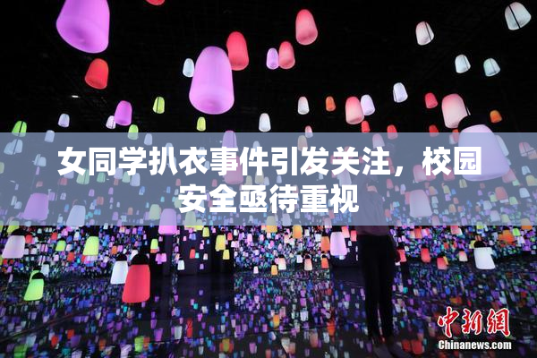 女同学扒衣事件引发关注，校园安全亟待重视