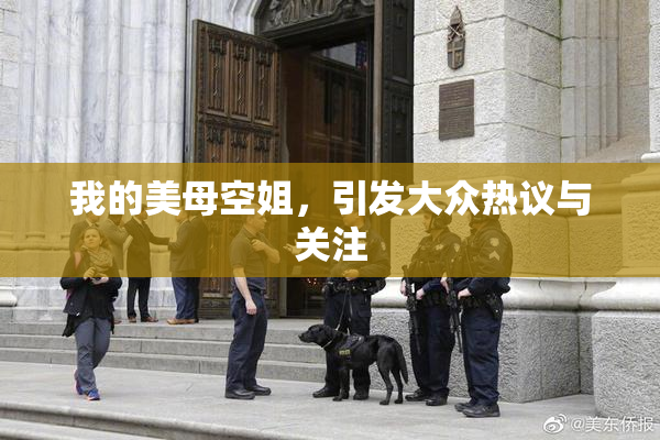 我的美母空姐，引发大众热议与关注