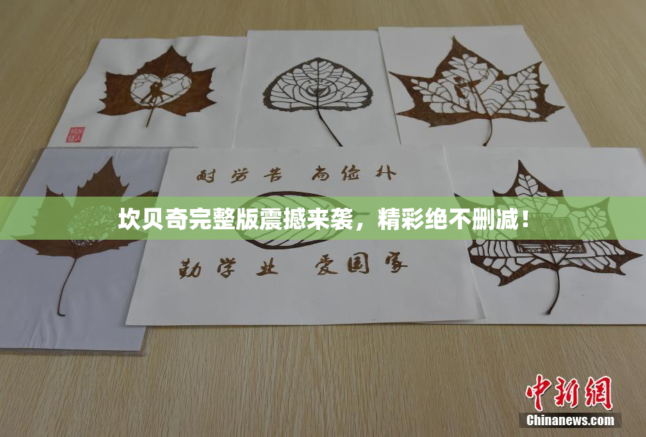 坎贝奇完整版震撼来袭，精彩绝不删减！