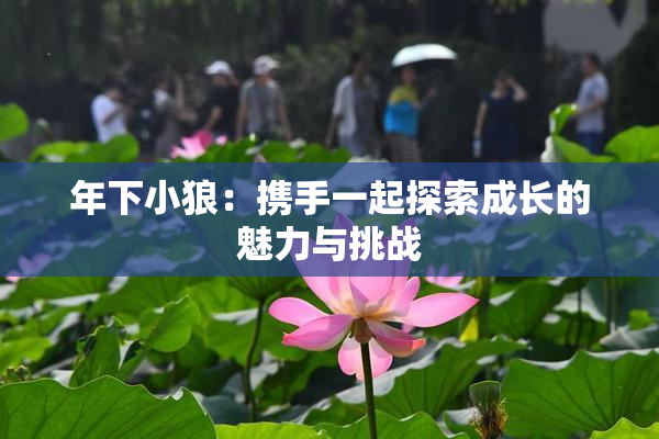 年下小狼：携手一起探索成长的魅力与挑战