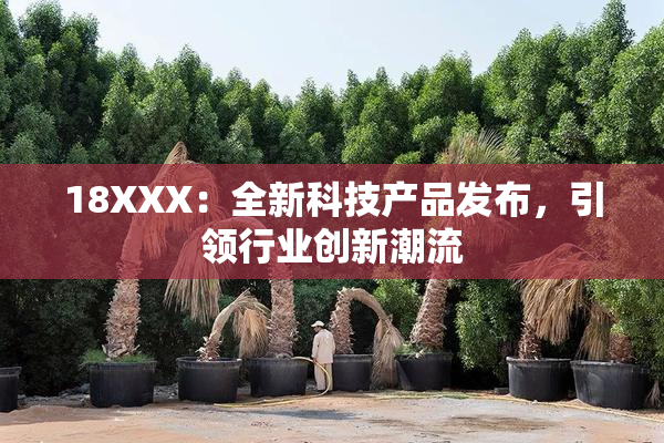 18XXX：全新科技产品发布，引领行业创新潮流