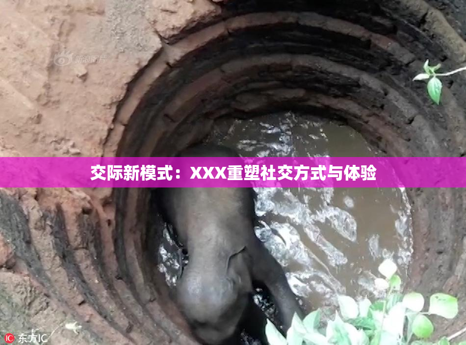 交际新模式：XXX重塑社交方式与体验
