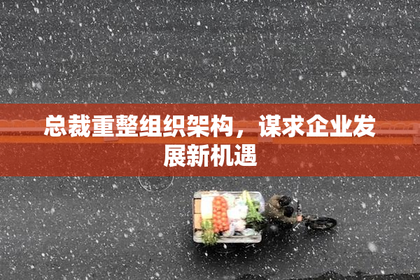 总裁重整组织架构，谋求企业发展新机遇