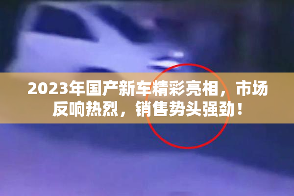 2023年国产新车精彩亮相，市场反响热烈，销售势头强劲！