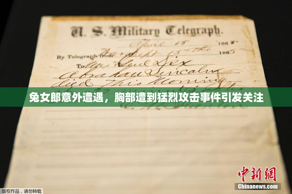 兔女郎意外遭遇，胸部遭到猛烈攻击事件引发关注