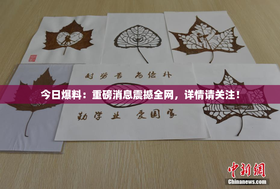 今日爆料：重磅消息震撼全网，详情请关注！
