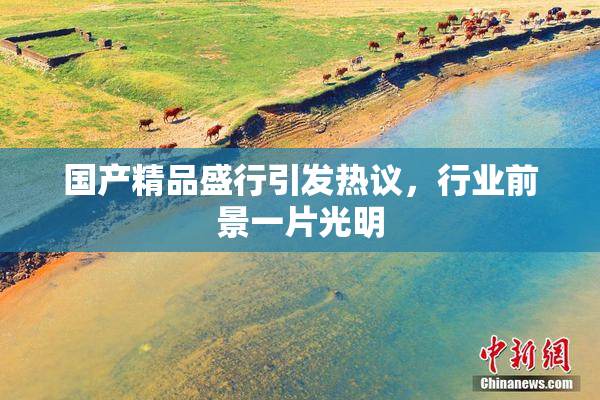 国产精品盛行引发热议，行业前景一片光明