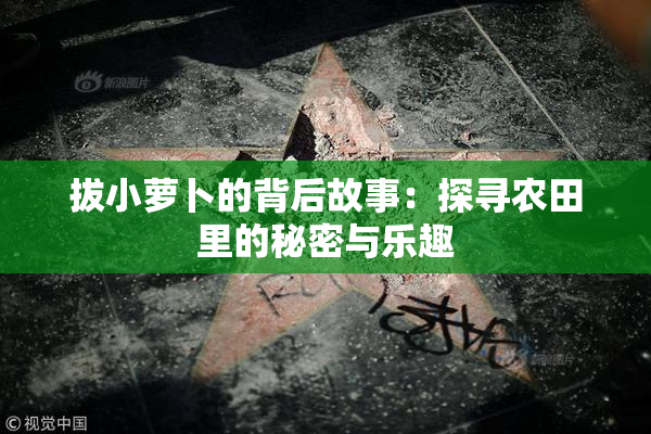 拔小萝卜的背后故事：探寻农田里的秘密与乐趣