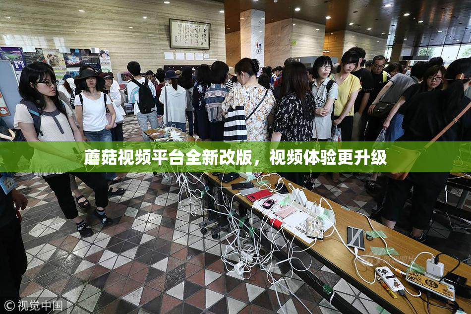 蘑菇视频平台全新改版，视频体验更升级