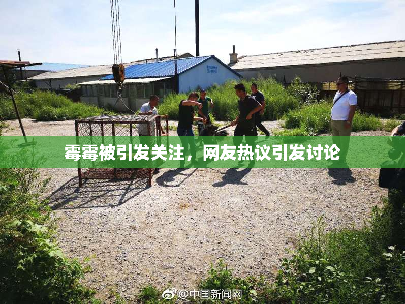 霉霉被引发关注，网友热议引发讨论