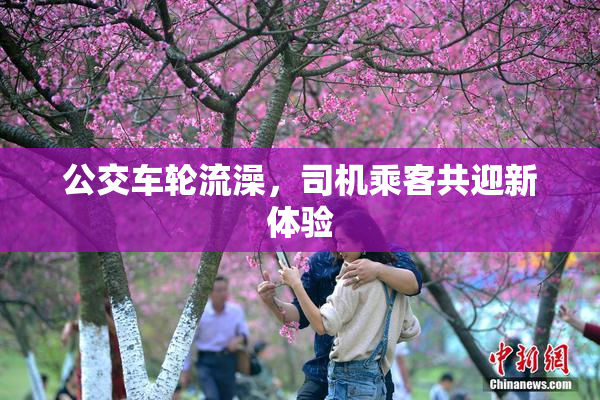 公交车轮流澡，司机乘客共迎新体验
