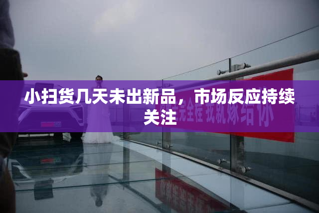 小扫货几天未出新品，市场反应持续关注
