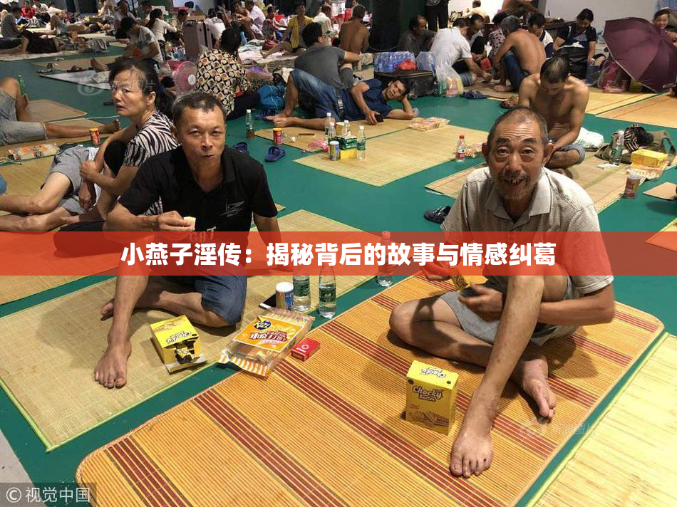 小燕子淫传：揭秘背后的故事与情感纠葛