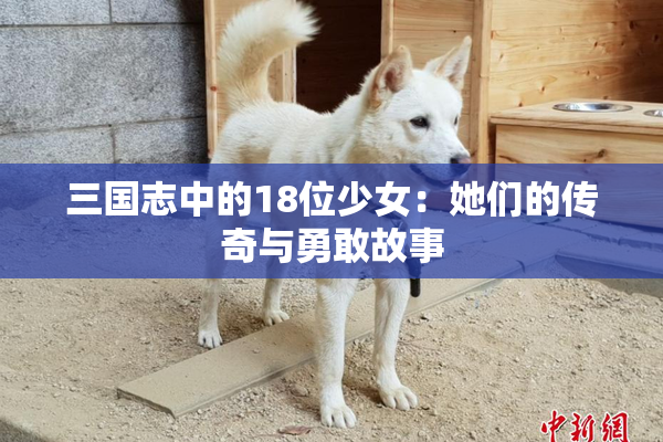 三国志中的18位少女：她们的传奇与勇敢故事
