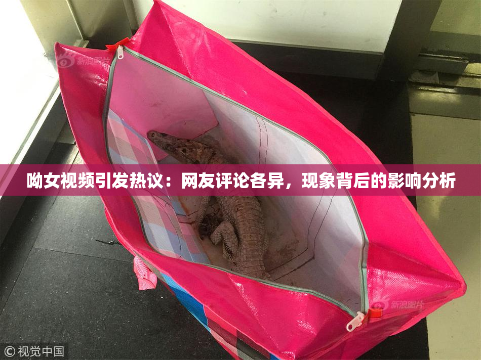 呦女视频引发热议：网友评论各异，现象背后的影响分析