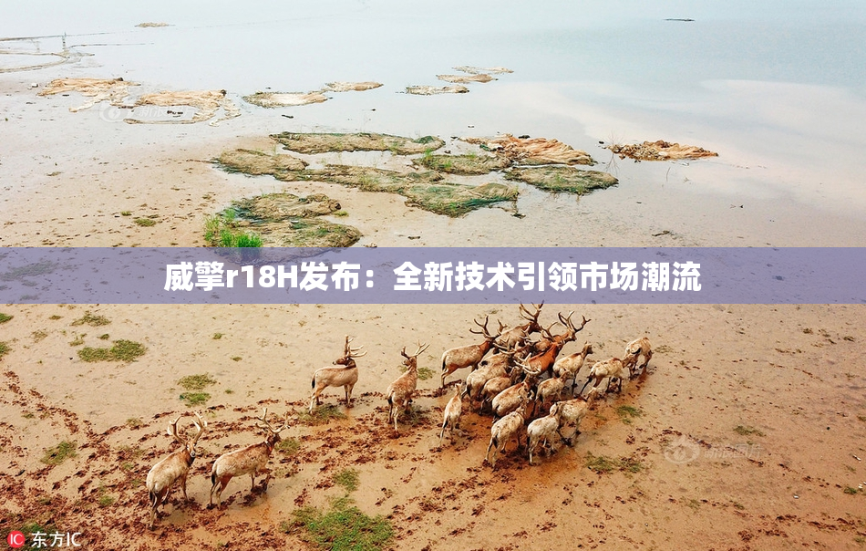 威擎r18H发布：全新技术引领市场潮流