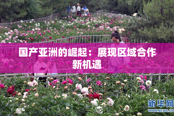 国产亚洲的崛起：展现区域合作新机遇