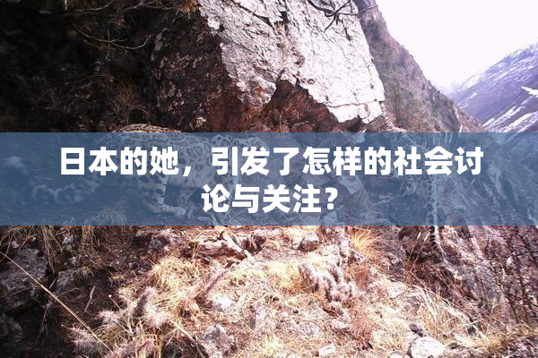 日本的她，引发了怎样的社会讨论与关注？