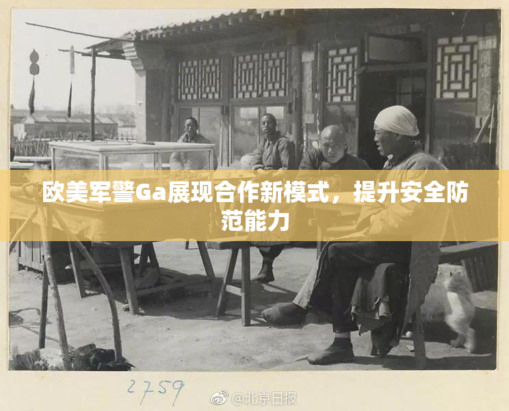 欧美军警Ga展现合作新模式，提升安全防范能力