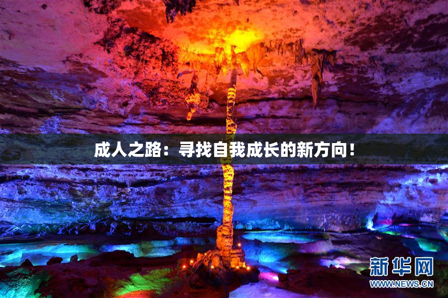 成人之路：寻找自我成长的新方向！